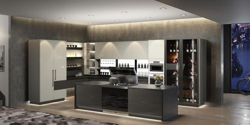 不锈钢整体橱柜选森歌,风格迥异,为厨房打造不一样的视觉盛宴