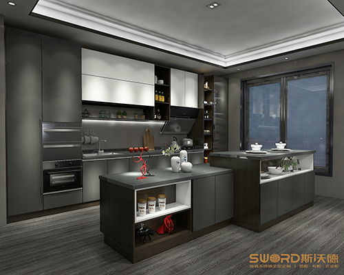 定制阳台柜 长海县权威定制阳台柜安装 斯沃德不锈钢橱柜